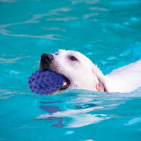 Pet Toy Rubber Bump Rugby Vocal Resistance Bite Wear