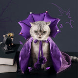 Dog & Cat  Magic Cloak Hat