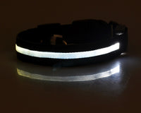 Doggydaart Luminous Dog Collar