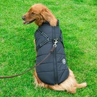 Doggydaart Chest Back Integrated Cotton Vest