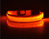 Doggydaart Luminous Dog Collar