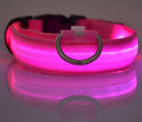 Doggydaart Luminous Dog Collar