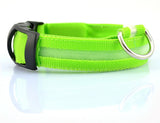 Doggydaart Luminous Dog Collar