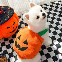 Pumpkin Dog Halloween Costume