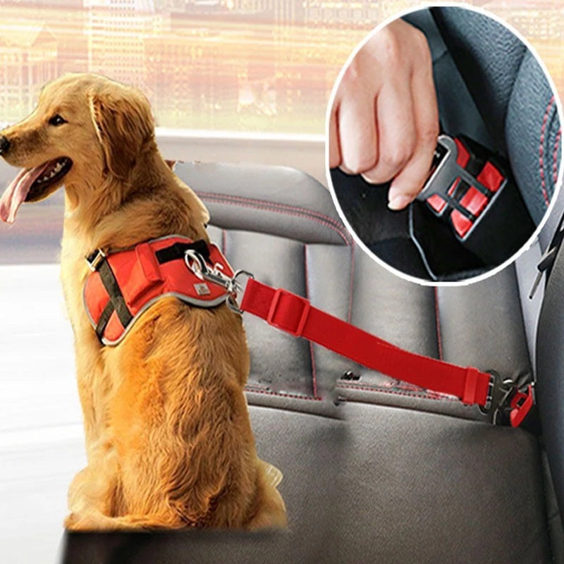 Doggydaart Car Seat Belt