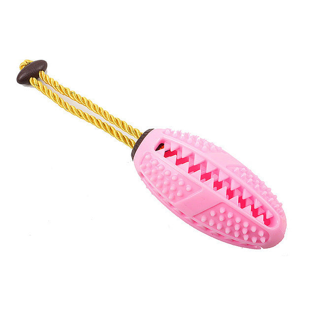 #18 Dog Chewing Toothbrush Toy