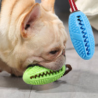 #18 Dog Chewing Toothbrush Toy