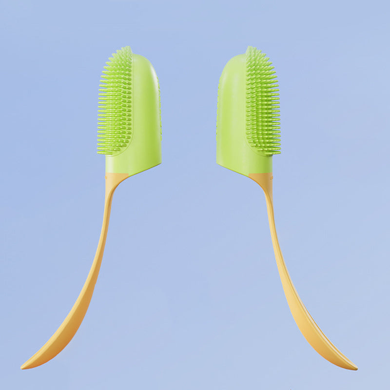 Tooth Cleaning Brush Care