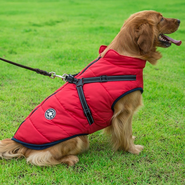 Doggydaart Chest Back Integrated Cotton Vest