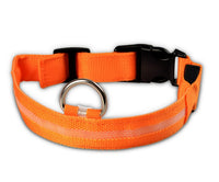 Doggydaart Luminous Dog Collar