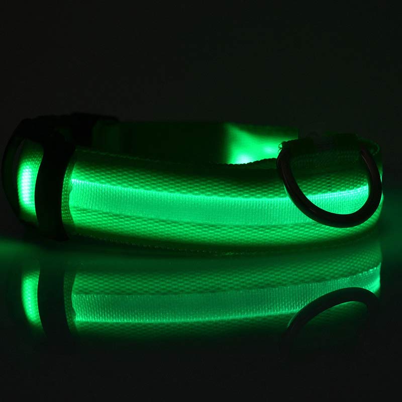 Doggydaart Luminous Dog Collar