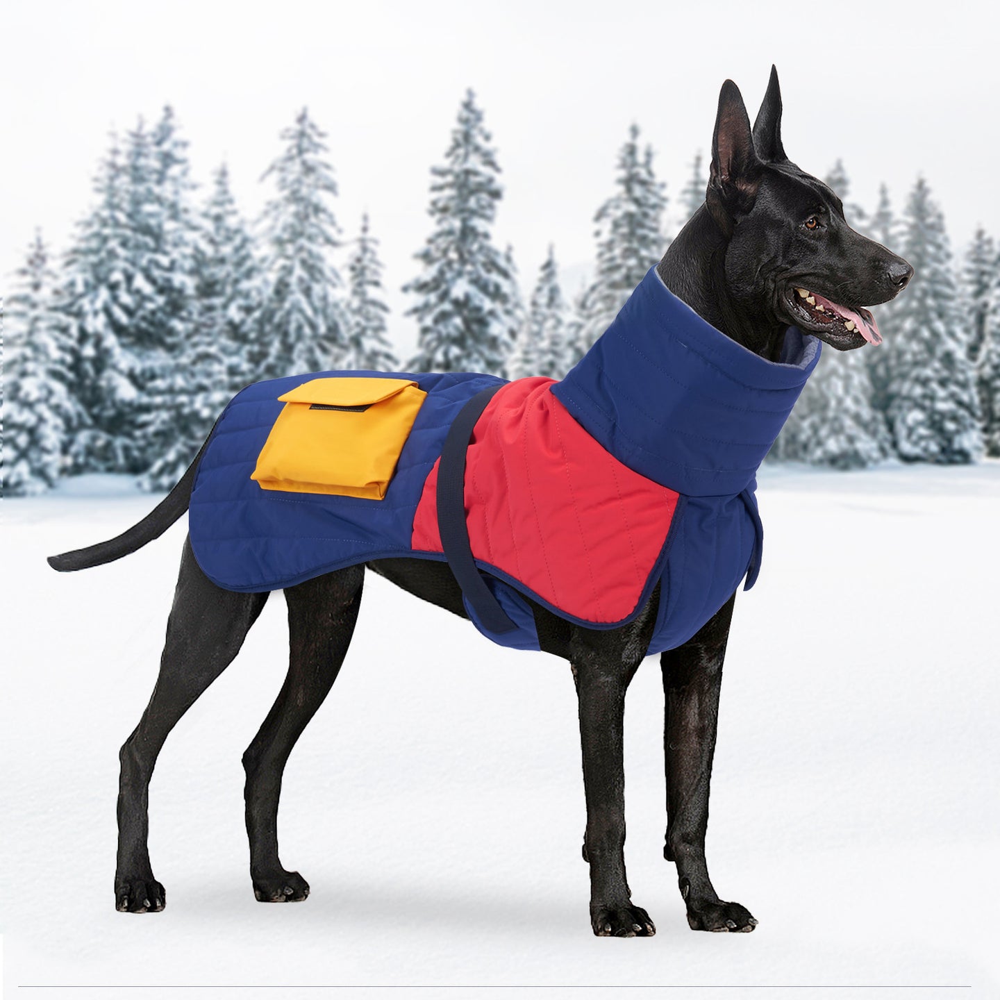 Doggydaart Dog Padded Winter Coat