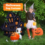 Pumpkin Dog Halloween Costume