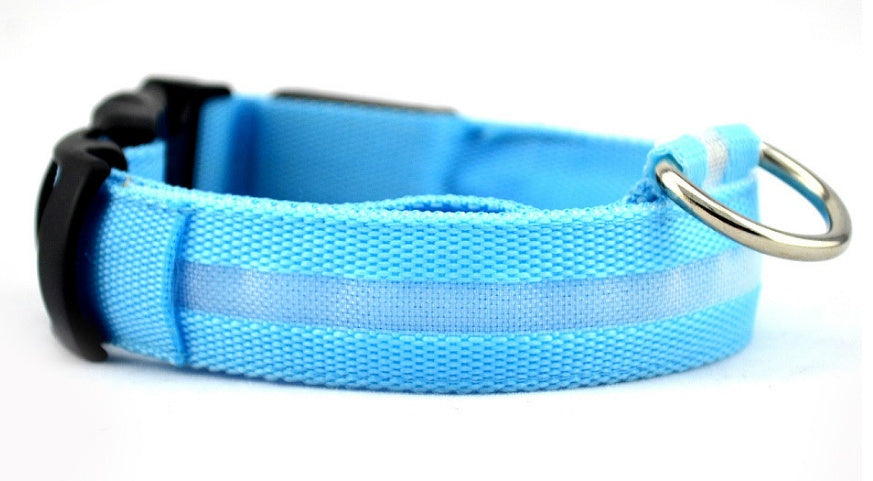 Doggydaart Luminous Dog Collar