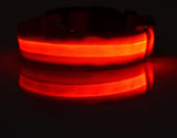 Doggydaart Luminous Dog Collar