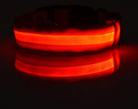 Doggydaart Luminous Dog Collar