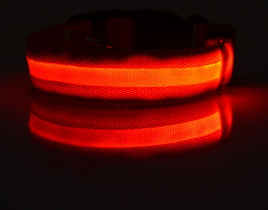 Doggydaart Luminous Dog Collar
