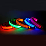 Doggydaart Luminous Dog Collar