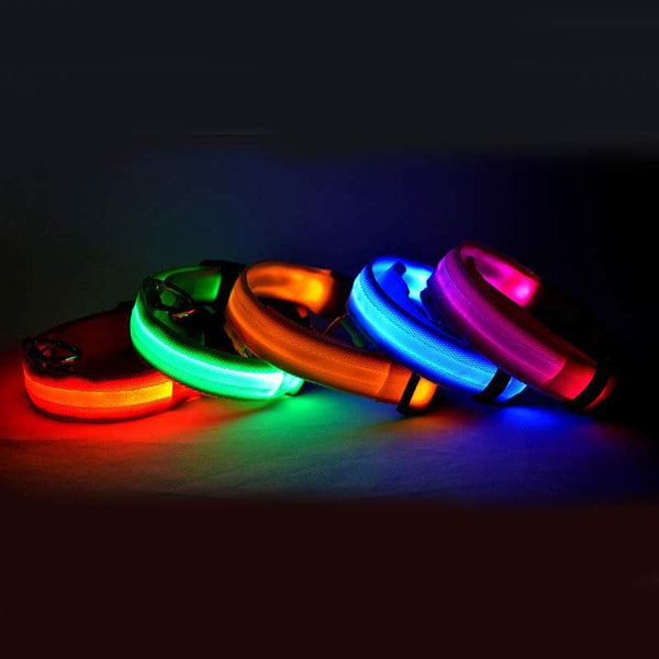 Doggydaart Luminous Dog Collar