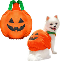 Pumpkin Dog Halloween Costume