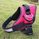 Special Explosion-proof Flush Chest Braces