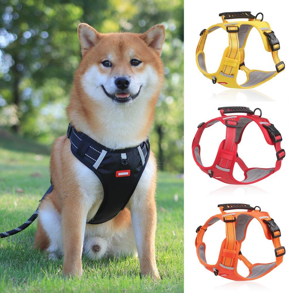 Doggydaart Dog Leash