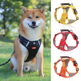 Doggydaart Dog Leash