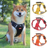 Doggydaart Dog Leash