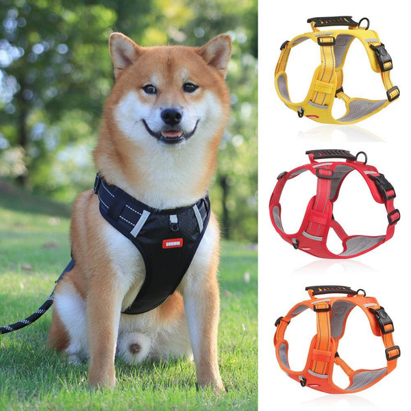 Doggydaart Dog Leash
