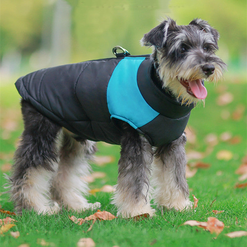 Doggydaart Winter Coat