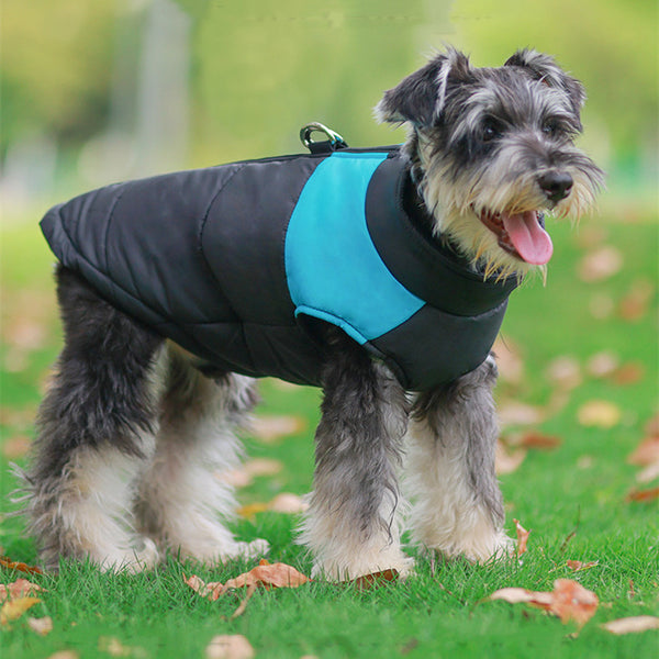 3. Doggydaart Winter Coat