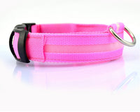 Doggydaart Luminous Dog Collar