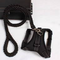 #16 Dog leash dog leash chest strap