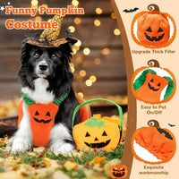 Pumpkin Dog Halloween Costume