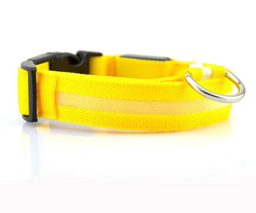 Doggydaart Luminous Dog Collar
