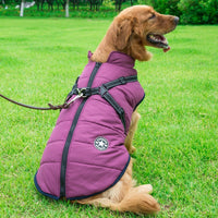 Doggydaart Chest Back Integrated Cotton Vest