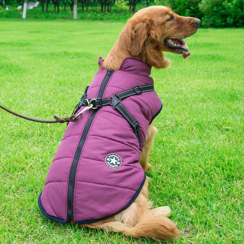 Doggydaart Chest Back Integrated Cotton Vest