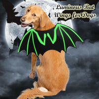 Dog Halloween BAT Costumes