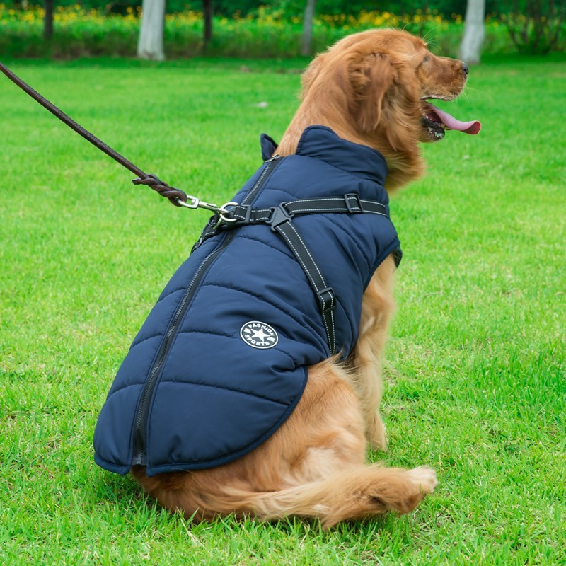 Doggydaart Chest Back Integrated Cotton Vest