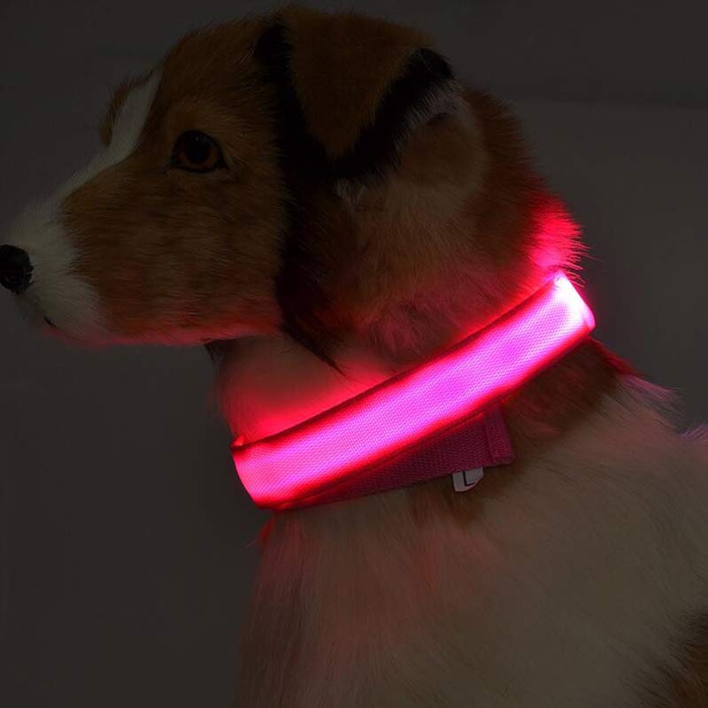 Doggydaart Luminous Dog Collar