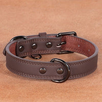 Medium Bell Anti-lost Pet Collar