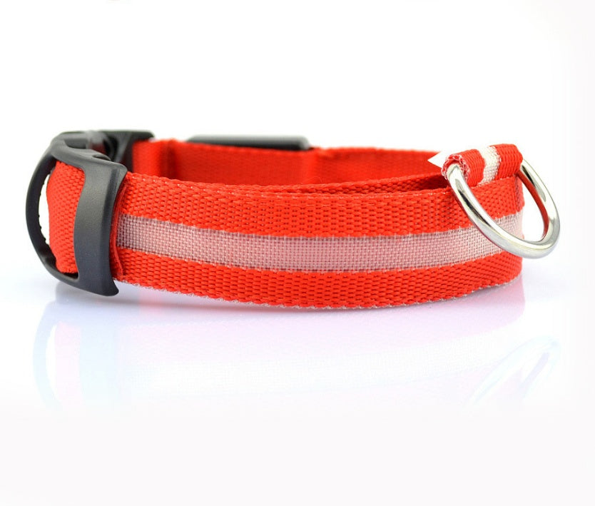 Doggydaart Luminous Dog Collar