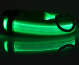 Doggydaart Luminous Dog Collar