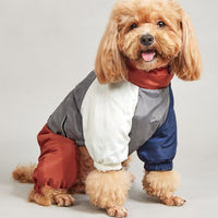 #14 Doggydaart Winter Color Matching Cotton-padded