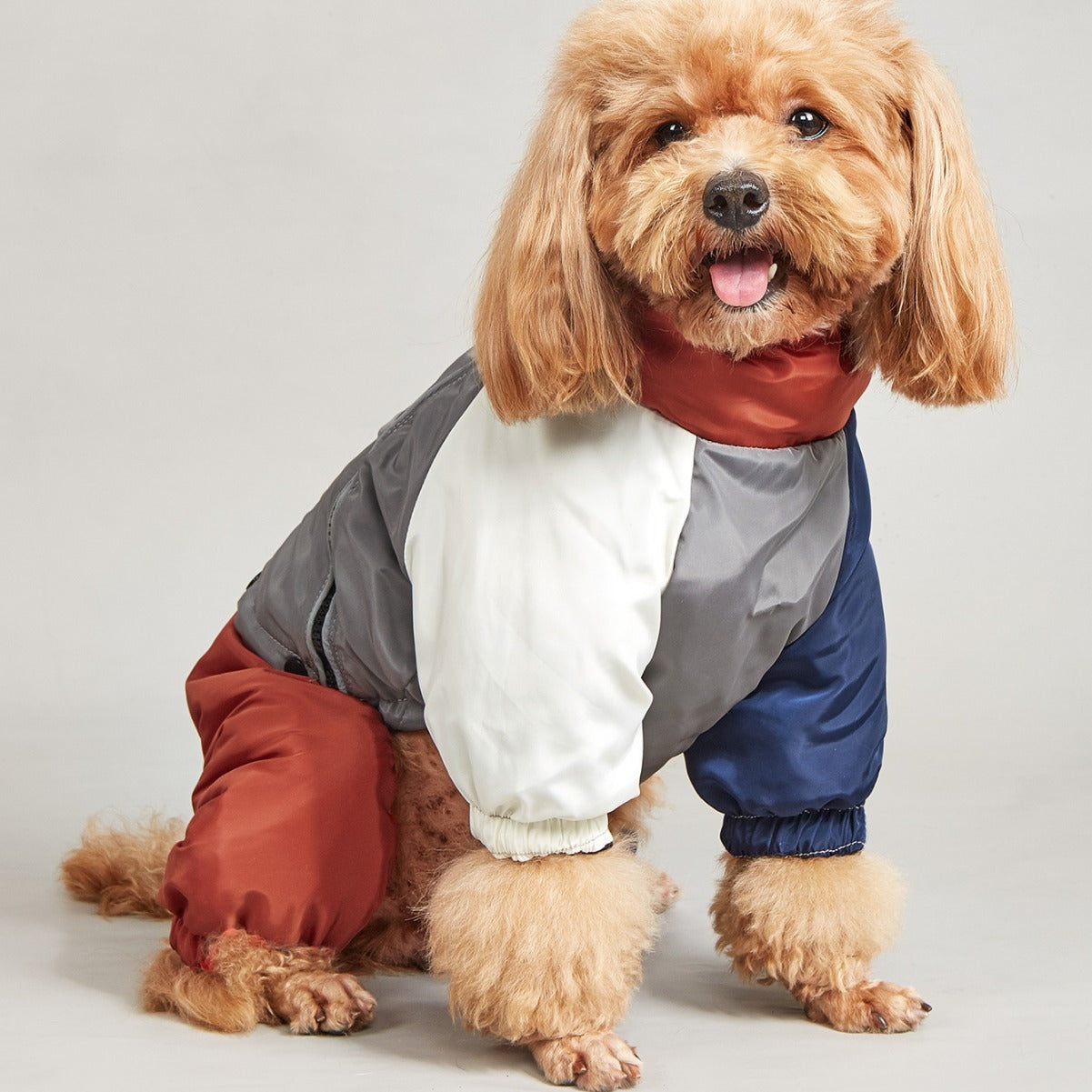 #14 Doggydaart Winter Color Matching Cotton-padded