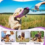 Doggydaart Muzzle Mask