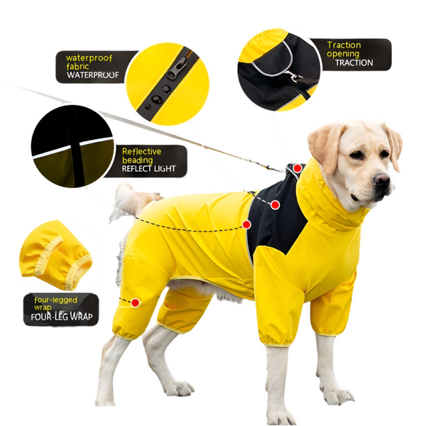 Shell Jacket Waterproof Windproof