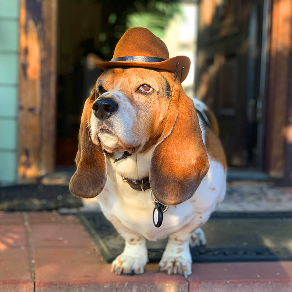 Doggydaart Cowboy Hat