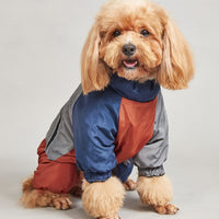 #14 Doggydaart Winter Color Matching Cotton-padded