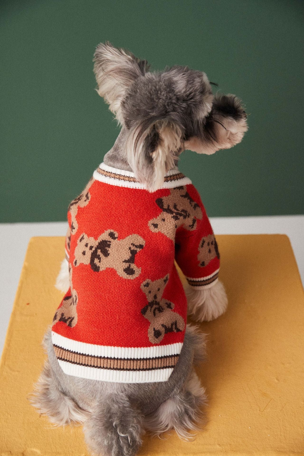Dog V-neck 100% Cotton Sweater